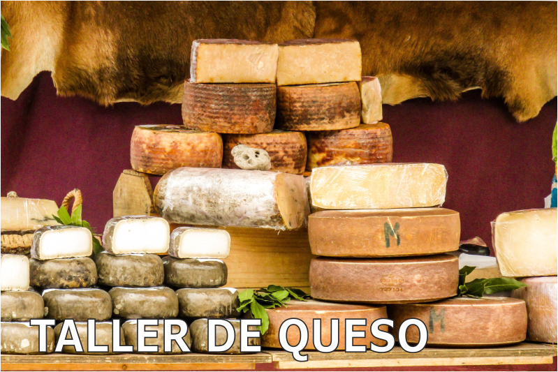 taller de elaboración de queso en Aracena